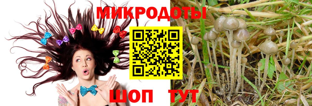 Галлюциногенные грибы Psilocybine cubensis  Вход с VPN  Ялта 